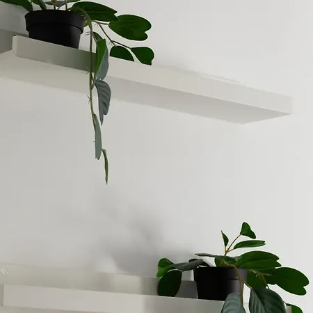 Park Zeromskiego Comfort By Bookinghost Щецин